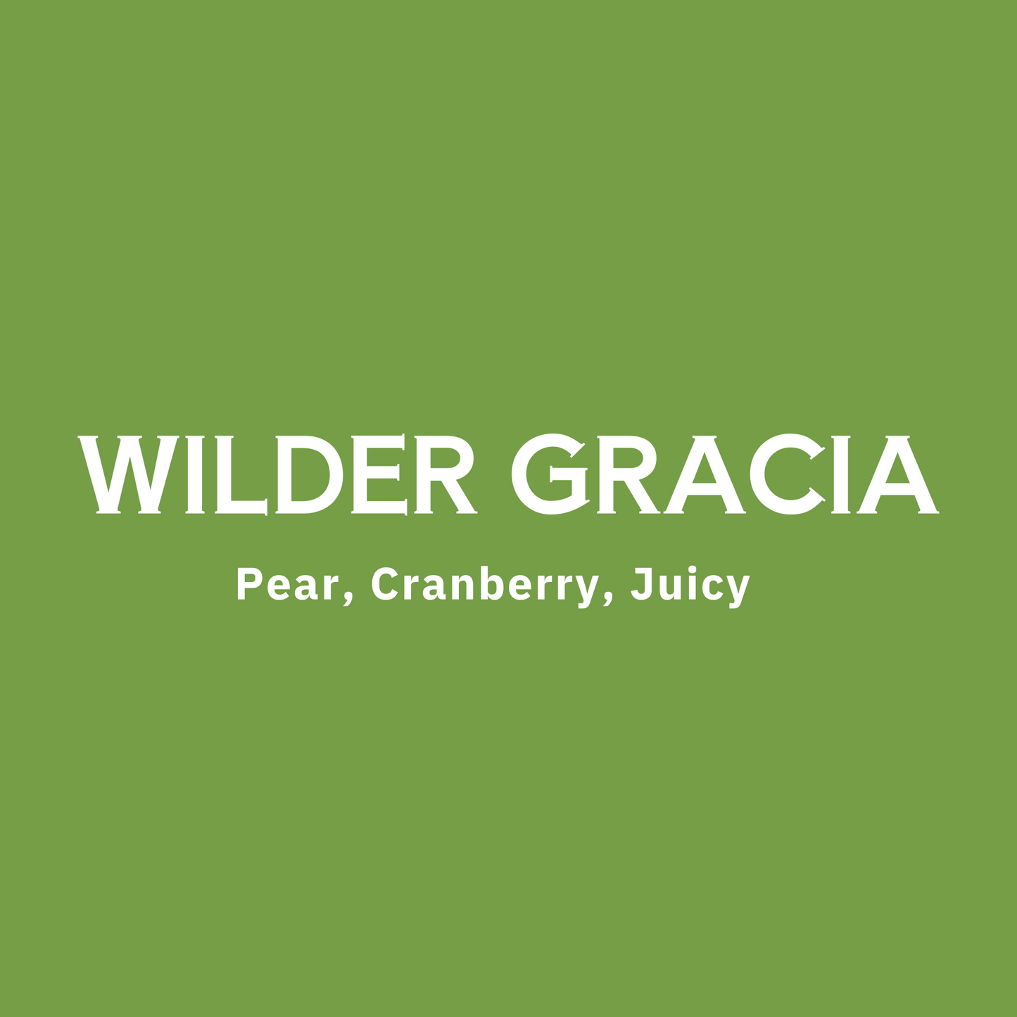 Peru - Wilder Garcia