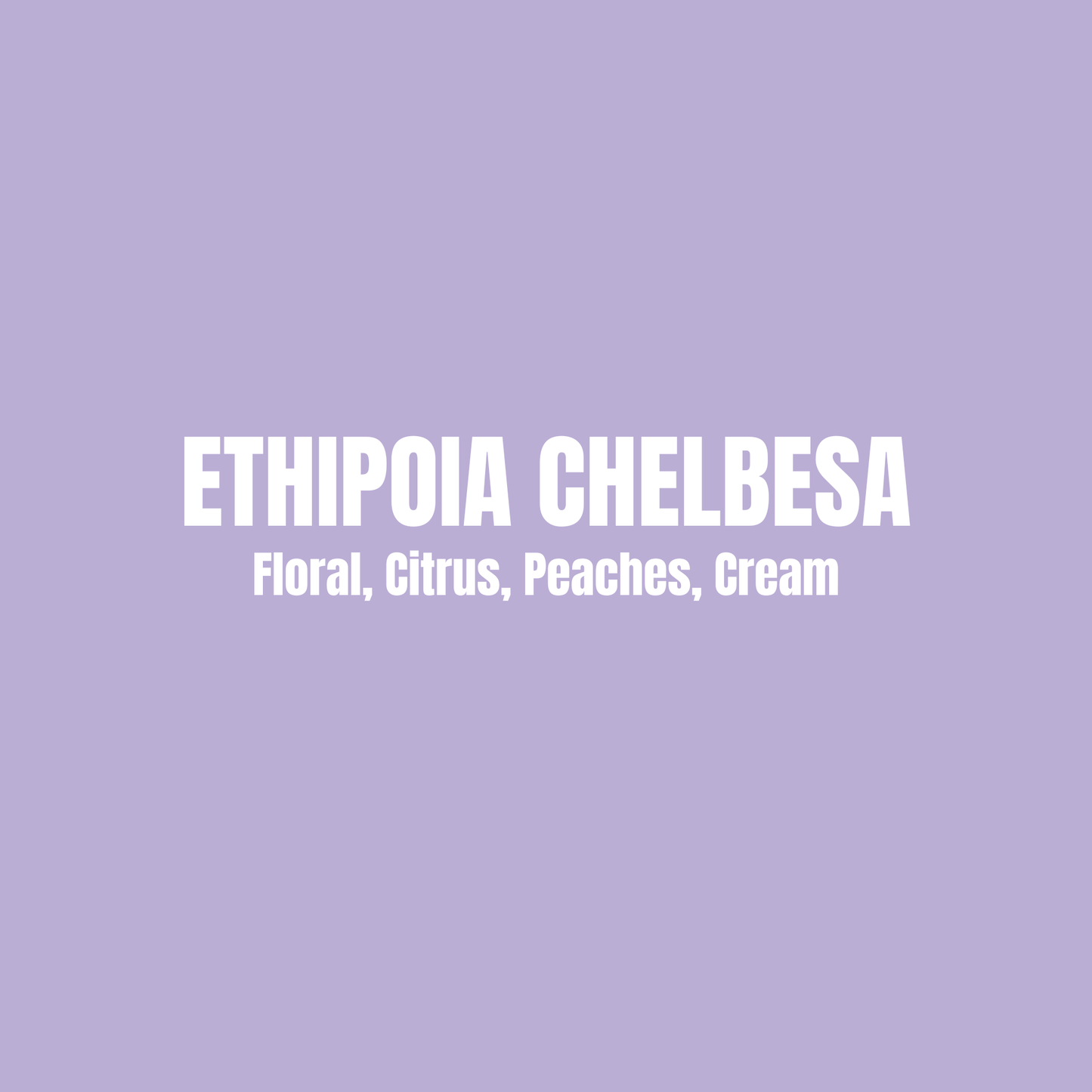 Ethiopia Chelbesa