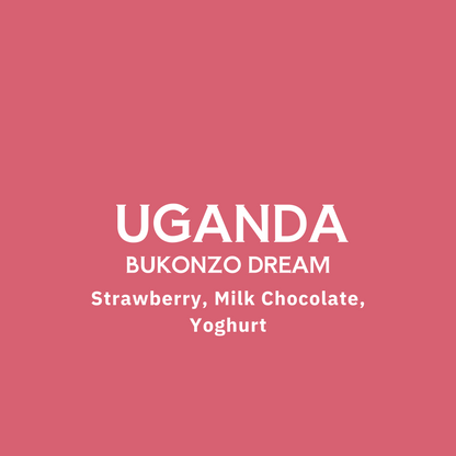 Unganda - Bukonzo Dream
