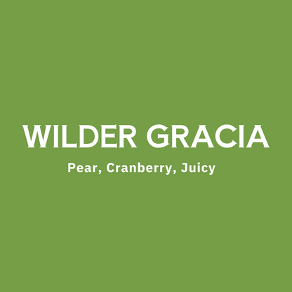 Peru - Wilder Garcia