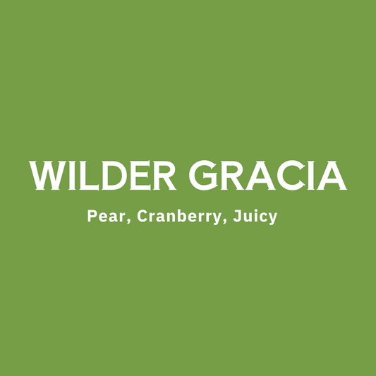 Peru - Wilder Garcia