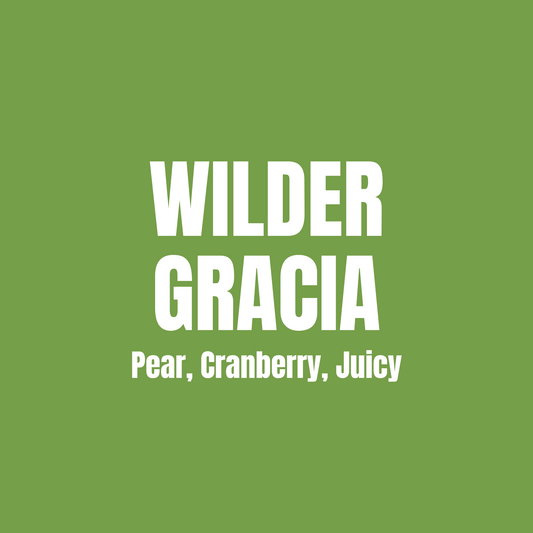 Peru - Wilder Garcia